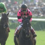 【競馬】スマートオーディン、行方不明