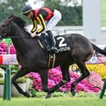 弥生賞の面子が既にヤバい