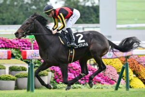 弥生賞の面子が既にヤバい