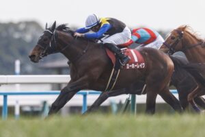 ヨーホーレイク復活www