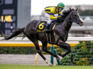 さすがに今年の共同通信杯組で出世できる馬居ないよな？