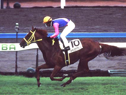 10人中8人は忘れてそうなG1連対馬