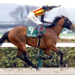 フォーエバーヤングとコスタノヴァのどちらが最優秀ダート馬に相応しいのか