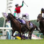 歴代のマイネルなんたらで距離別最強馬あげてけ