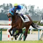 準オープンとオープンの間くらいの能力の馬