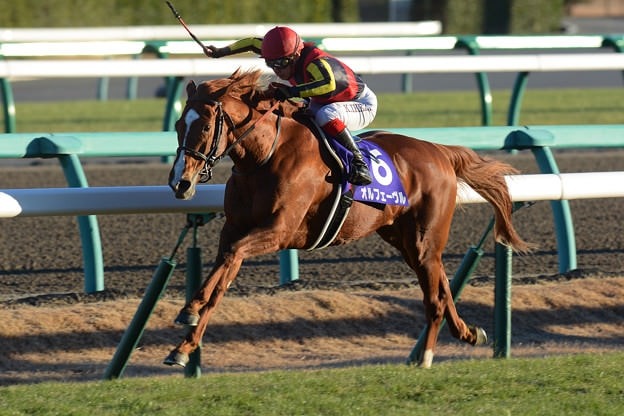 オルフェーヴルって全然失敗種牡馬じゃないよな