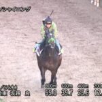 【きさらぎ賞2025】追い切り/抜群の動きを見せたのは