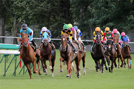 10人中8人は忘れてそうなG1連対馬