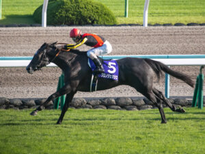 芦毛ってキレる馬いなくね?