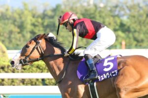 チェルヴィニア弱すぎワロタwww