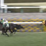【競馬】ほらもう阪急杯の勝ち馬忘れただろ?