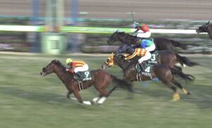 【競馬】メラグラーナ戸崎上手すぎワロタｗｗｗリスグラも戸崎なら勝ってたわｗｗｗｗ