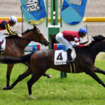 東京新聞杯2着のボンドガールは阪神牝馬Sへ