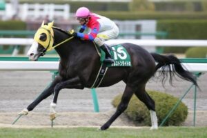 最強はわからんけど最速は？