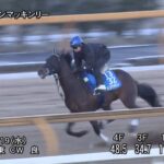 【阪急杯2025】追い切り/動きを見極め勝利に近づけ