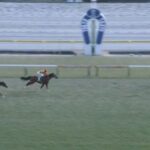 【競馬】ダイヤモンドSは戸崎騎乗のヘデントールがV