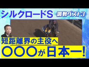 「心身ともに成長した！」ソンシ 、カピリナ、 ピューロマジック・・・競馬エイト・高橋賢司トラックマンの調教解説＜シルクロードステークス(ＧⅢ)＞