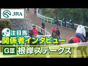 【注目馬 関係者インタビュー】2025年 根岸ステークス｜JRA公式