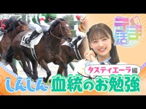 【うま活】しんしんが血統のお勉強！お父さんはサトノクラウン！2023年ダービー馬・タスティエーラ編【名場面・特別配信（2023年11月取材）】