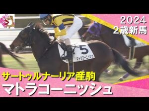 マトラコーニッシュが大外から豪快に差し切りデビュー勝ち！北村友一騎手「とても性格のいい馬」　2024年12月22日(日)２歳新馬　京都芝1800m　実況：川島壮雄【カンテレ公式】