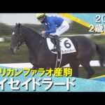 タイセイドラードが馬なりで大差のデビュー勝ち!西村淳也騎手「1歩目が速かった」 2024年12月22日(日)2歳新馬 京都ダート1800m 実況:石田一洋【カンテレ公式】