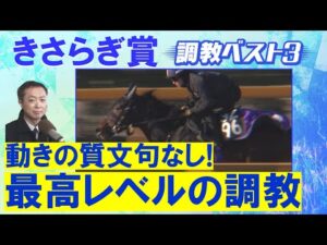 「長く良い脚が使える！」ショウヘイ 、サトノシャイニング、 ミニトランザット・・・競馬エイト・高橋賢司トラックマンの調教解説＜きさらぎ賞(ＧⅢ)＞