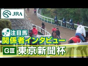 【注目馬 関係者インタビュー】2025年 東京新聞杯｜JRA公式
