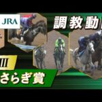 【調教動画】2025年 きさらぎ賞|JRA公式
