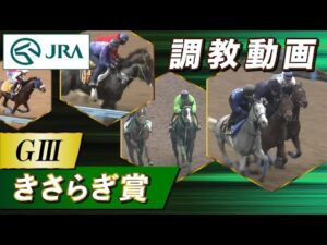 【調教動画】2025年 きさらぎ賞｜JRA公式