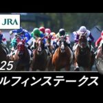 2025年 エルフィンステークス(L) | JRA公式