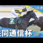 2025年 共同通信杯 (GⅢ) マスカレードボール【カンテレ公式】