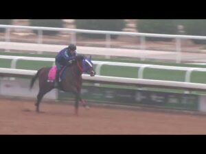 2/18(火) イグナイター最終追い切り(サウジアラビア・キングアブドゥルアジーズ競馬場)