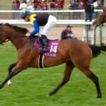 【競馬】金子ってマカヒキの凱旋門からおかしくないか?
