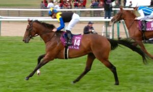 【競馬】金子ってマカヒキの凱旋門からおかしくないか？