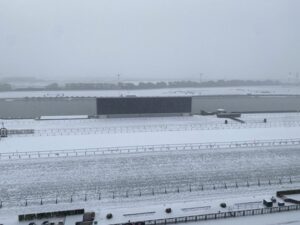 【京都競馬】明日の開催ってどうなるの？