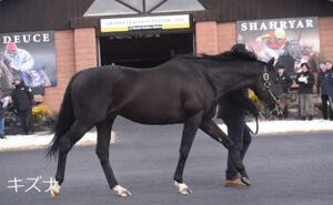 【朗報】キズナとシャフリヤールが新たに満口