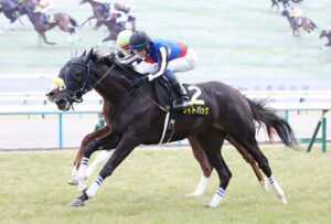 【悲報】ライトバックまたも3勝クラス突破ならず