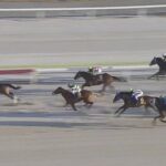 【雲取賞】ジャナドリア強すぎワロタwww