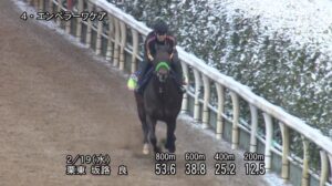 【フェブラリーステークス2025】追い切り/抜群の動きを見せたのは