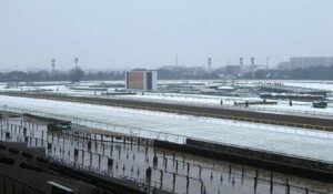 【緊急】本日【2月8日(土曜)】の京都競馬は開催を中止します