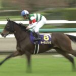 【競馬】ルージュバック帰厩したら前走と同じ馬体重。来週の金鯱賞へ