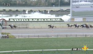 【競馬】京都3R未勝利戦　ドウデュースの半弟エンダードラゴンが大楽勝