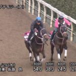 【チューリップ賞2025】追い切り/動きを見極め勝利に近づけ