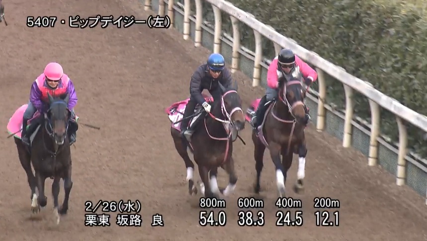 【チューリップ賞2025】追い切り/動きを見極め勝利に近づけ