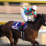 ルメールを代表する馬1頭は?