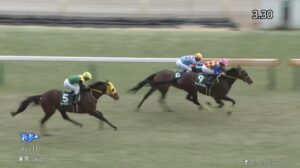 【ダイヤモンドステークス2025】出走予定馬・騎手/長距離で輝け