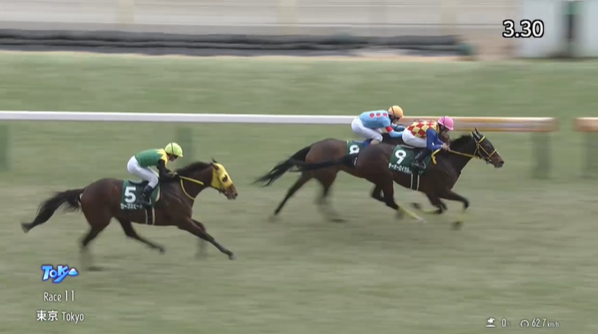 【ダイヤモンドステークス2025】出走予定馬・騎手/長距離で輝け