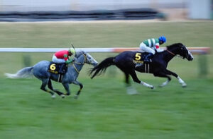 武井調教師「シュトラウス、次は1200m使おうかな」北村宏「この馬は中距離だぞ」www