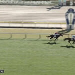 アロンズロッドが骨折 春クラッシック絶望