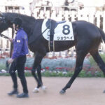 サートゥルナーリアの限界